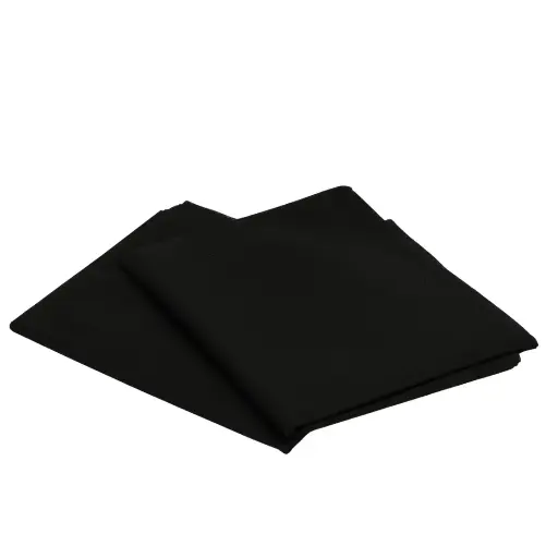 [43182] SABANA NEGRA