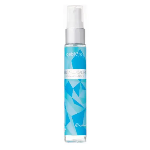 BRISA MENTA EUCALIPTO 250ml
